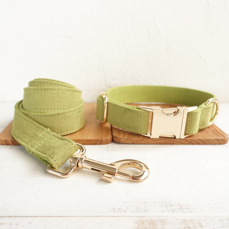 Green polyester dog leash and collar with gold metal clasp and buckle on wooden tray