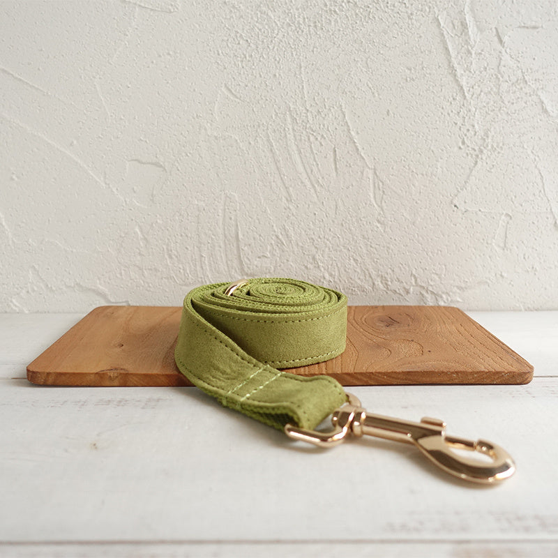 Rolled green polyester dog leash with gold clasp resting on wooden tray