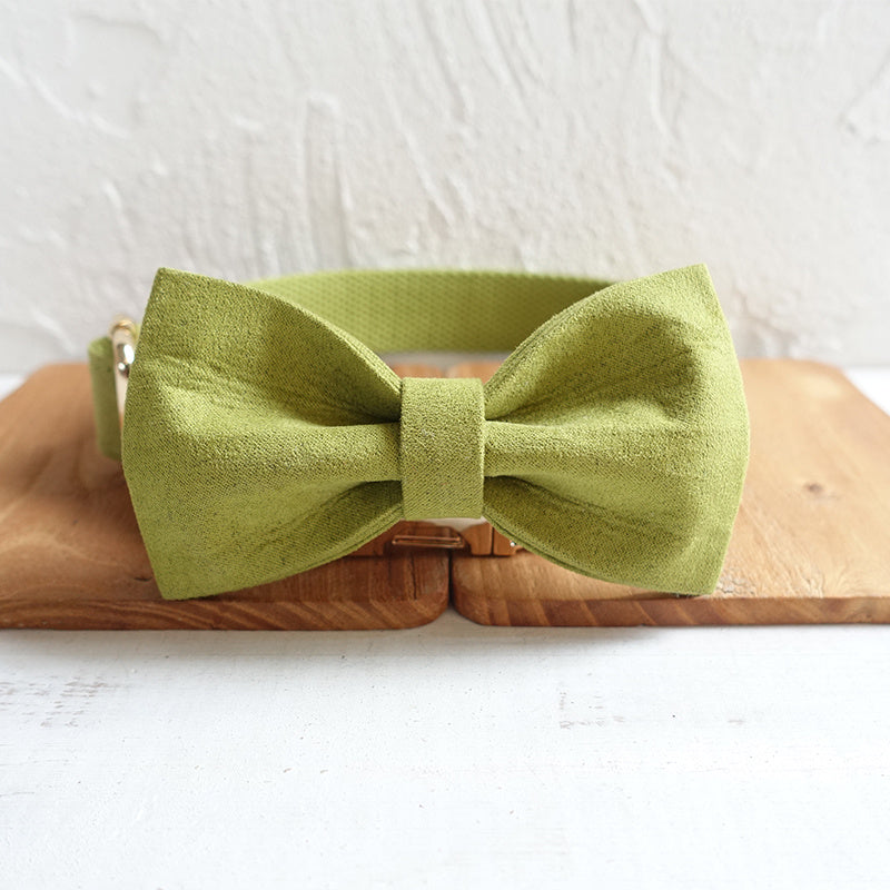 Green polyester dog collar with attached bow tie accessory on wooden panel