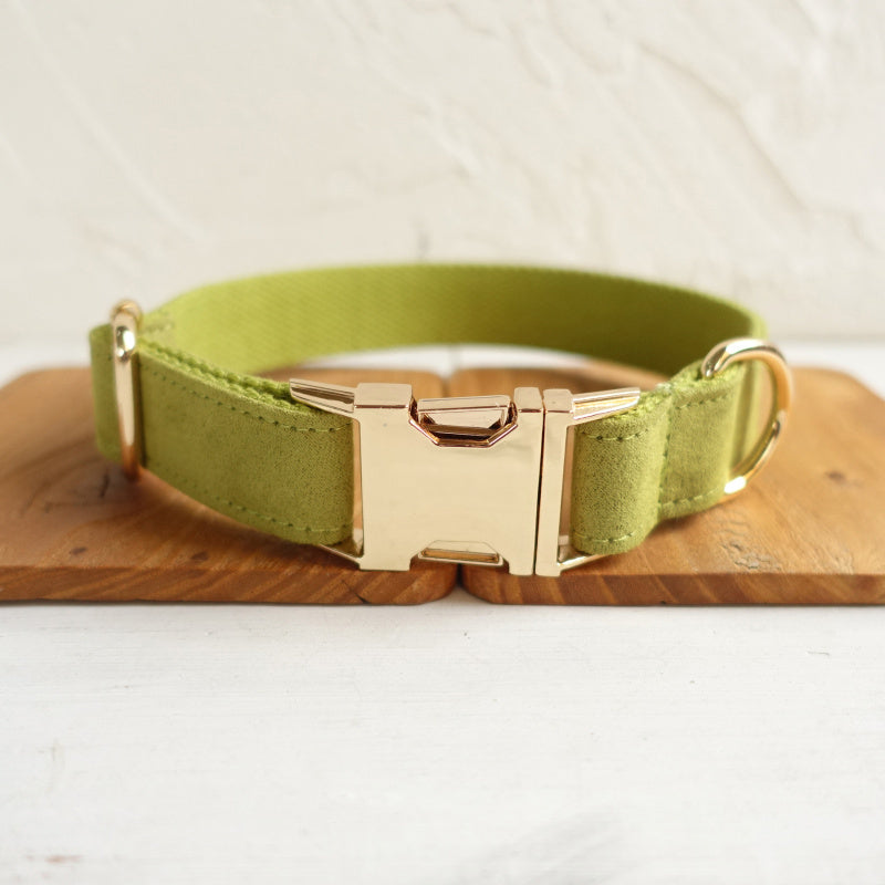Close-up of gold metal buckle on green polyester dog collar laid on wooden tray