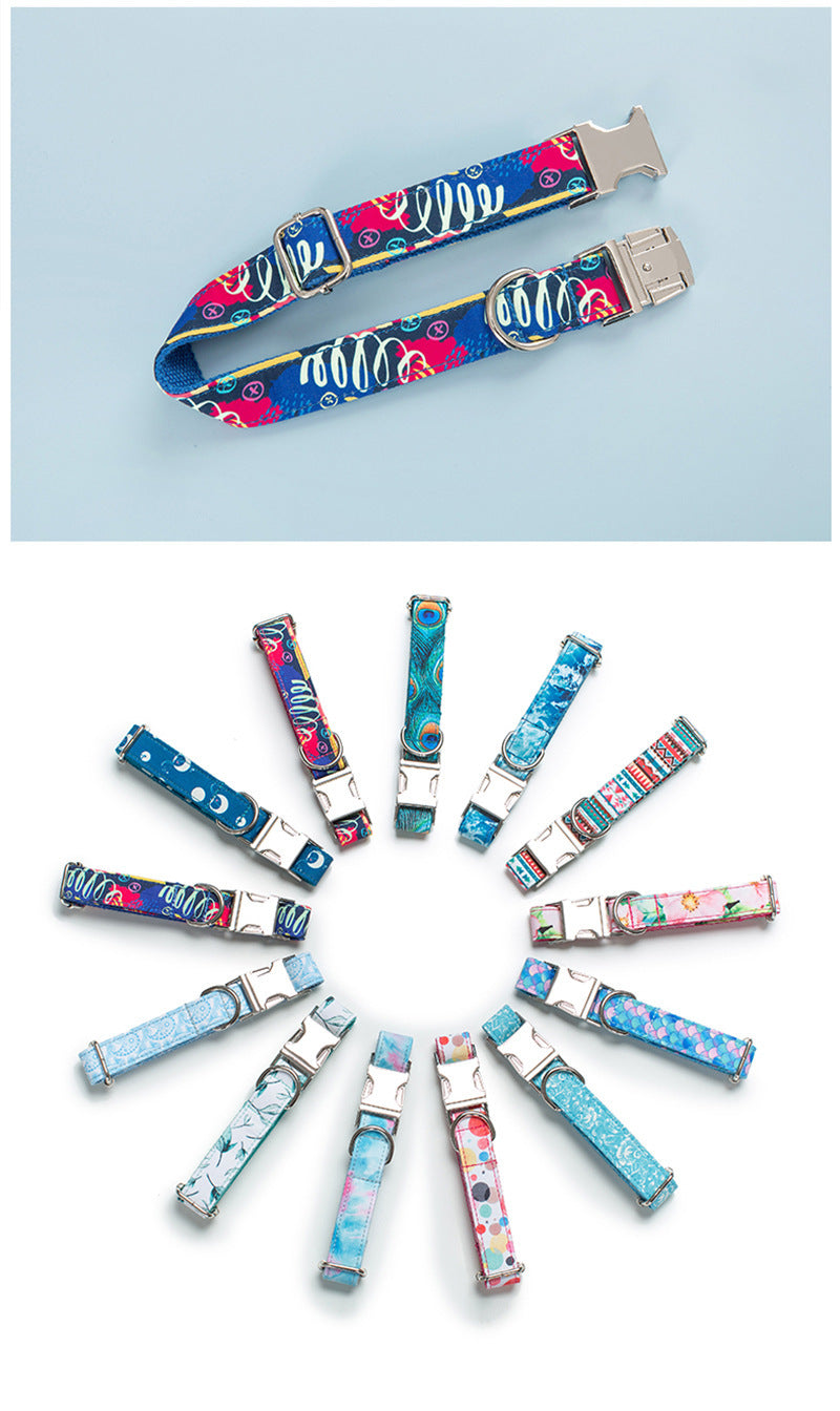 Various dog collars in different patterns arranged in a circular layout on white background