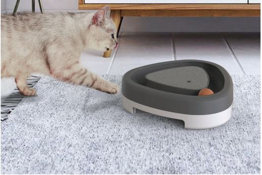 Cat playing with gray and white triangular turntable toy with orange ball on carpet