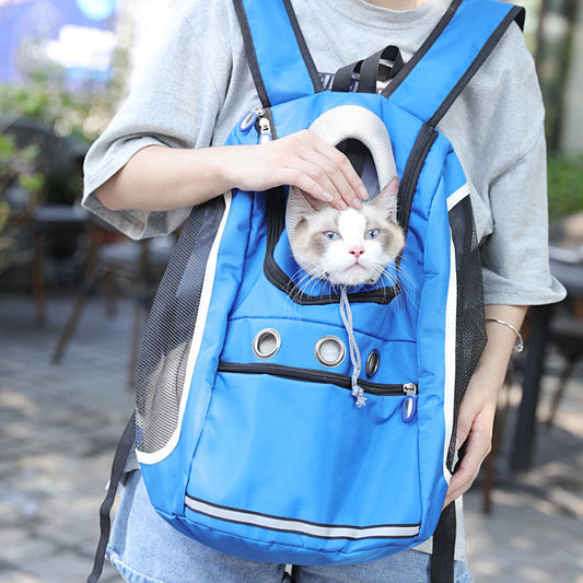 Blue pet carrier backpack with a small cat sticking its head out from a padded collar opening, worn by a person outdoors
