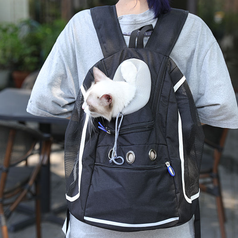Black pet carrier backpack with a white cat peeking out from the padded collar opening, worn by a person outdoors