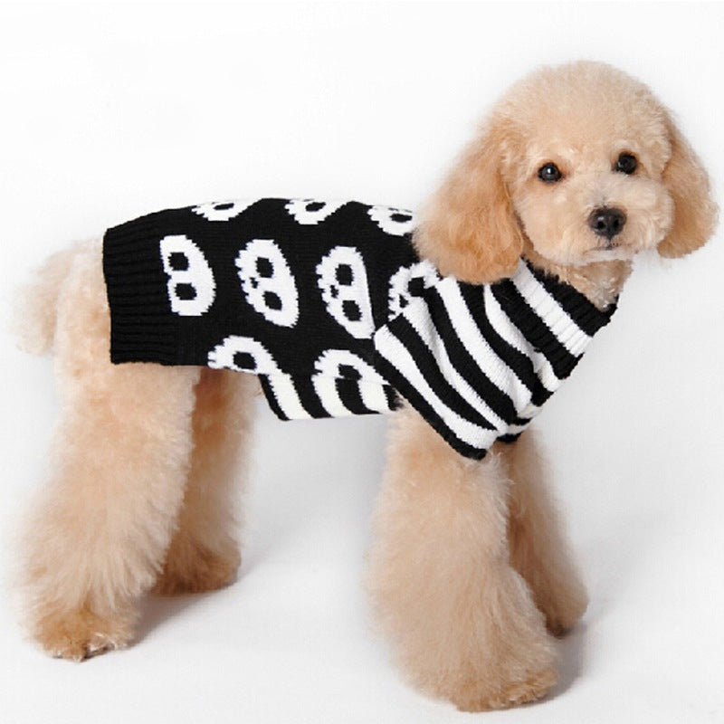 Side view of small dog standing, wearing black sweater with skulls and striped sleeves