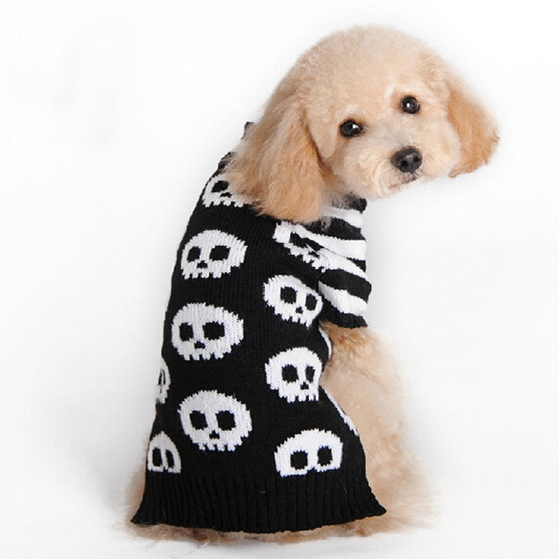 Small dog seated looking back wearing skull pattern dog sweater