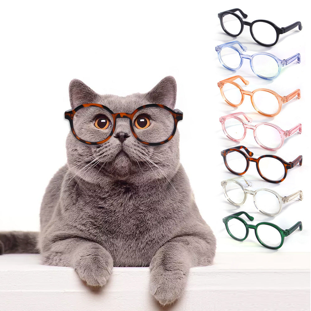 Gray cat wearing tortoise shell styled round plastic cat glasses