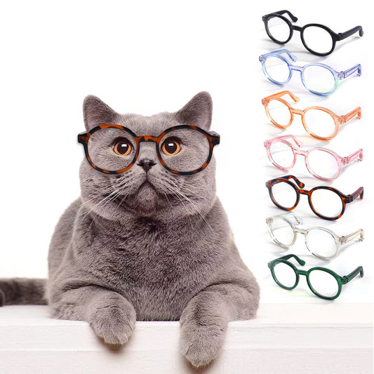 Gray cat wearing tortoise shell styled round plastic cat glasses