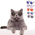 Load image into Gallery viewer, Gray cat wearing round sunglasses with cat ear design and rainbow mirrored lenses

