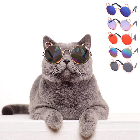 Gray cat wearing round sunglasses with cat ear design and rainbow mirrored lenses