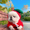 Load image into Gallery viewer, Small dog wearing a red apple hoodie sitting on a bench outdoors with colorful fall foliage in the background
