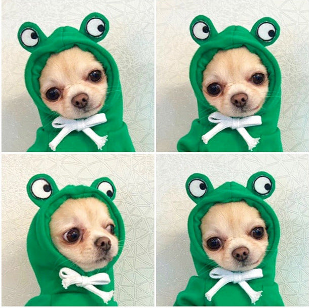 Multiple close-up views of small dog wearing a green frog hoodie with big round eyes on the hood
