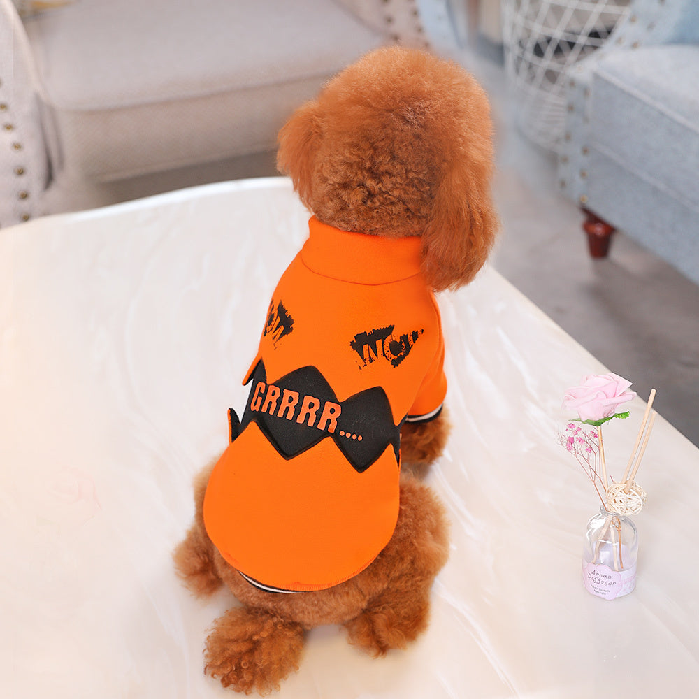 Small brown poodle wearing bright orange pumpkin dog sweater sitting on white surface