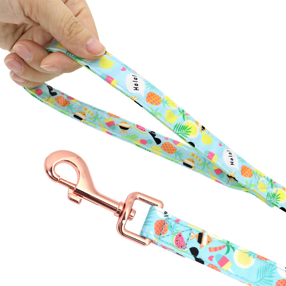 Hand holding a tropical print dog leash with rose gold metal clasp