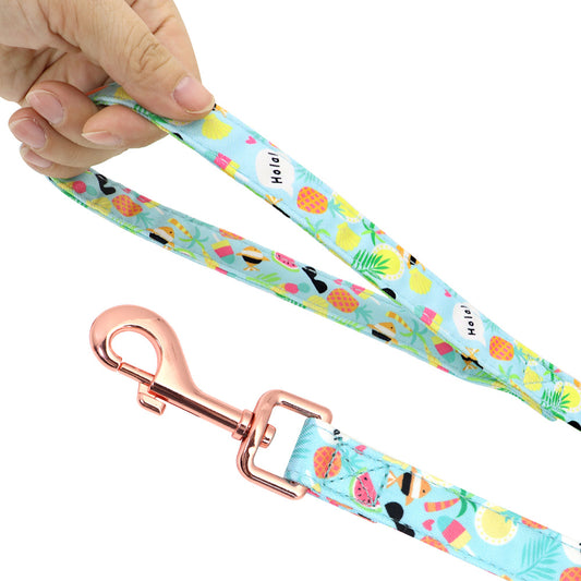 Hand holding a tropical print dog leash with rose gold metal clasp