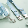 Load image into Gallery viewer, Paisley Pet Collar Leash Set Dog Collar Leash Bow

