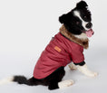 Load image into Gallery viewer, Black and white dog wearing red PU leather jacket with faux fur collar, looking back with tongue out
