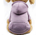 Load image into Gallery viewer, Dog clothes autumn new Teddy cat than bear puppy puppies Thin summer spring and autumn winter pockets sweater
