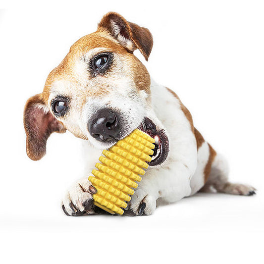 Brown and white dog biting yellow corn-shaped dog toy