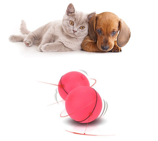 Jouet électronique à roulettes pour chat avec laser LED