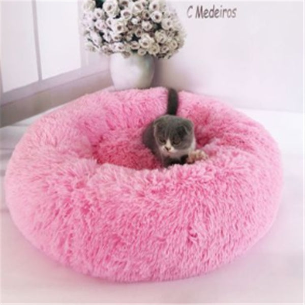 Kitten sitting inside pink round plush pet nest bed against white backdrop