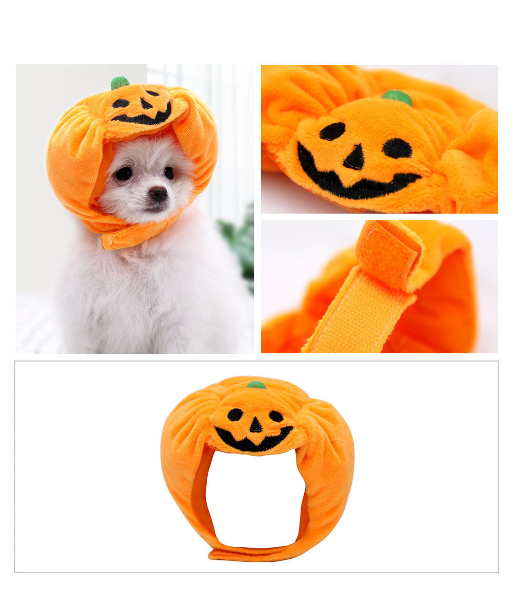Close-up of small white dog wearing bright orange velvet pumpkin hat with embroidered jack-o'-lantern face