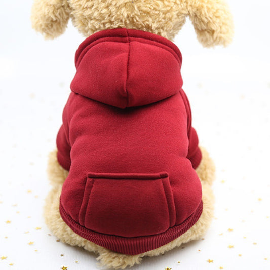 Small dog wearing a red fleece hoodie with hood and back pocket sitting against a white background