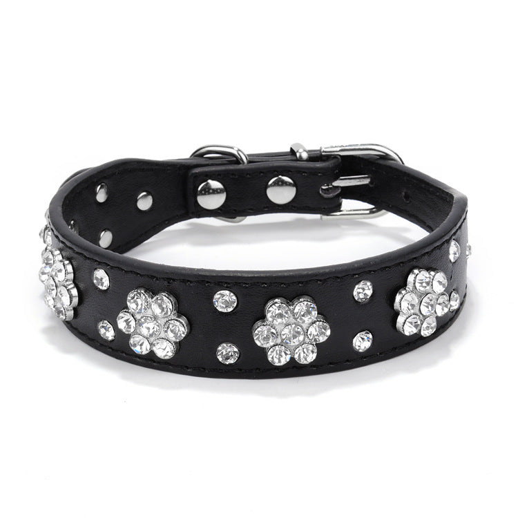 Close view of black rhinestone dog collar with flower embellishments