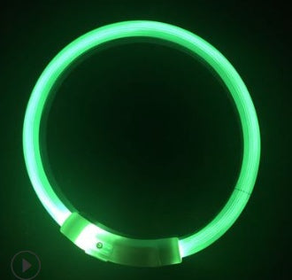 Green glowing LED dog collar illuminated in dark