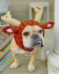 Load image into Gallery viewer, Pet Dog Dinosaur Warm Windproof Halloween Knitted Hat Head Cover
