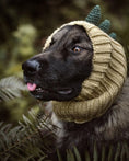 Load image into Gallery viewer, Pet Dog Dinosaur Warm Windproof Halloween Knitted Hat Head Cover
