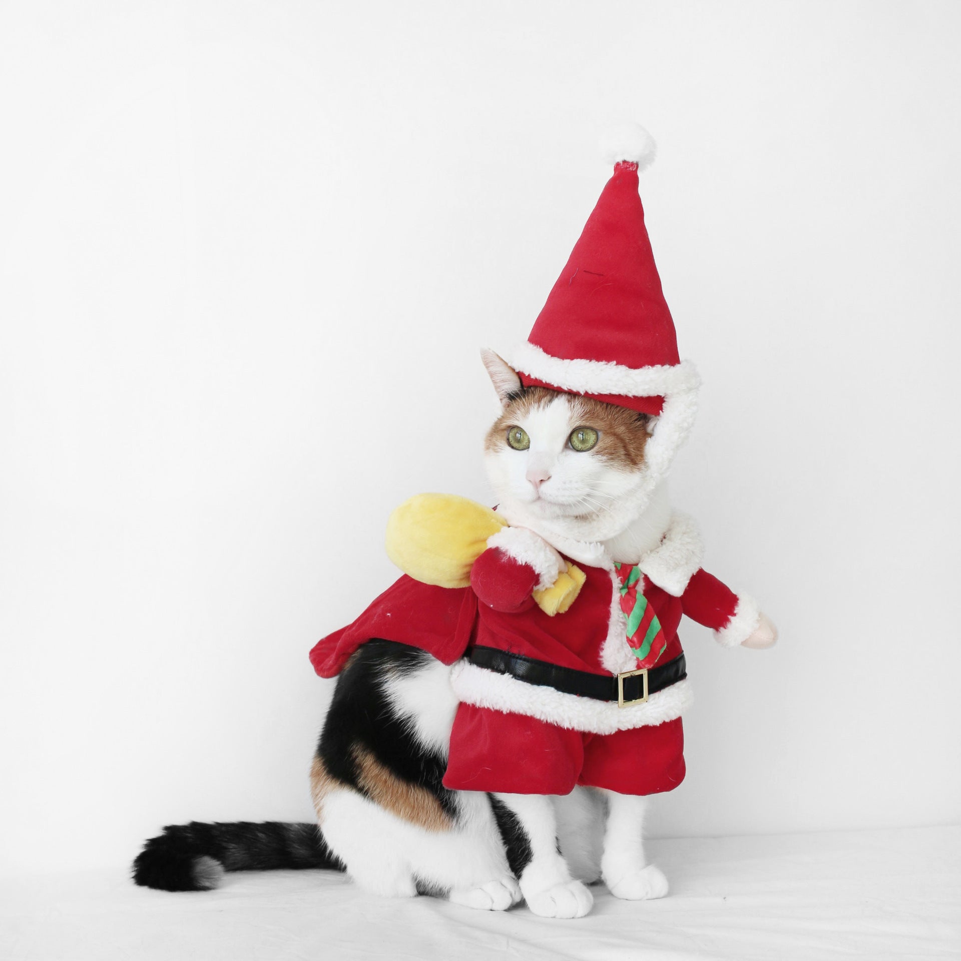 Santa Winter Christmas Double Flannel Outfit