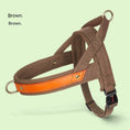 Charger l'image dans la visionneuse de la galerie, Dog's Straps Dog Breast Collar Hand Holding Rope Vest-style Jarre Aero Bull Dog Leash
