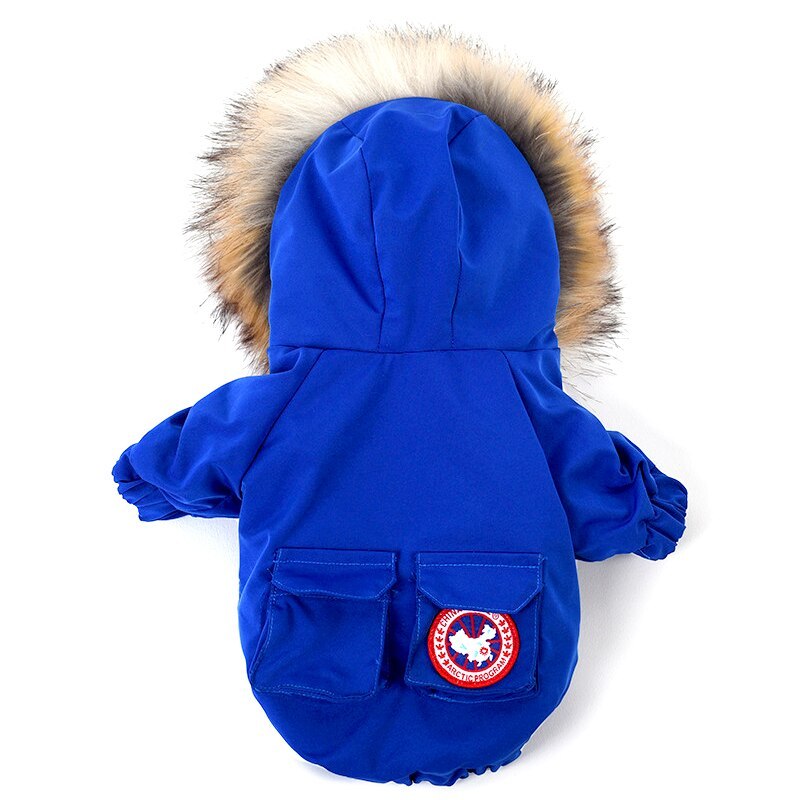 Back view of royal blue dog winter coat with two pockets and faux fur hood