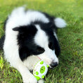 Load image into Gallery viewer, Phedgehog Shape Dog Toy Leaking Food Toys For Small Large Dogs Cat Chewing Toys Pet Tooth Cleaning Indestructible Puppy Toys Ball Molar Tooth Cleaning Stick
