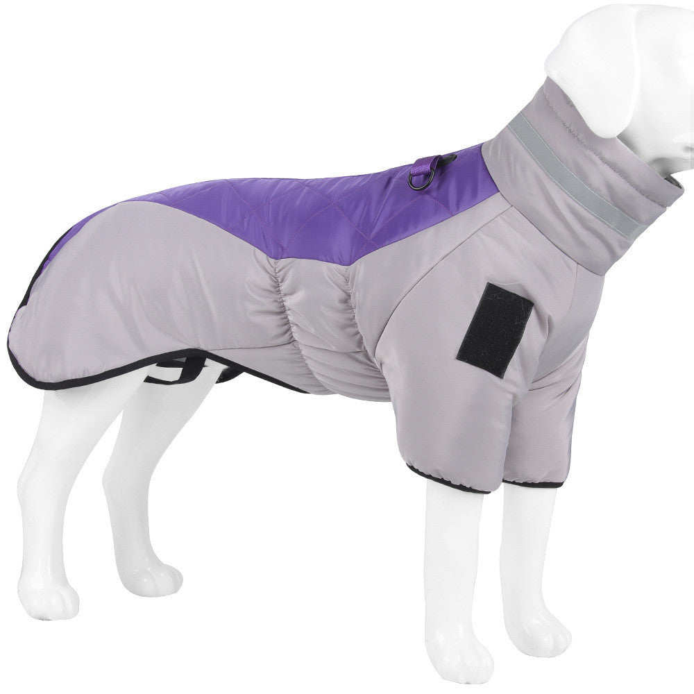 Mannequin dog model dressed in gray and purple warm dog coat with attached leash ring and leg sleeves