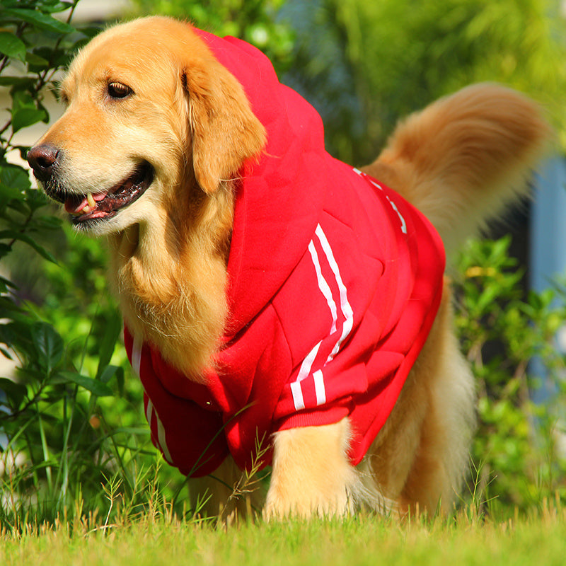 Ropa para mascotas