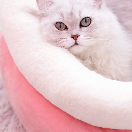 Close-up of white fluffy cat resting in pink cozy fleece-lined cat bed