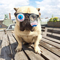 Charger l'image dans la visionneuse de la galerie, Pet Funny Glasses Props Spring Glasses
