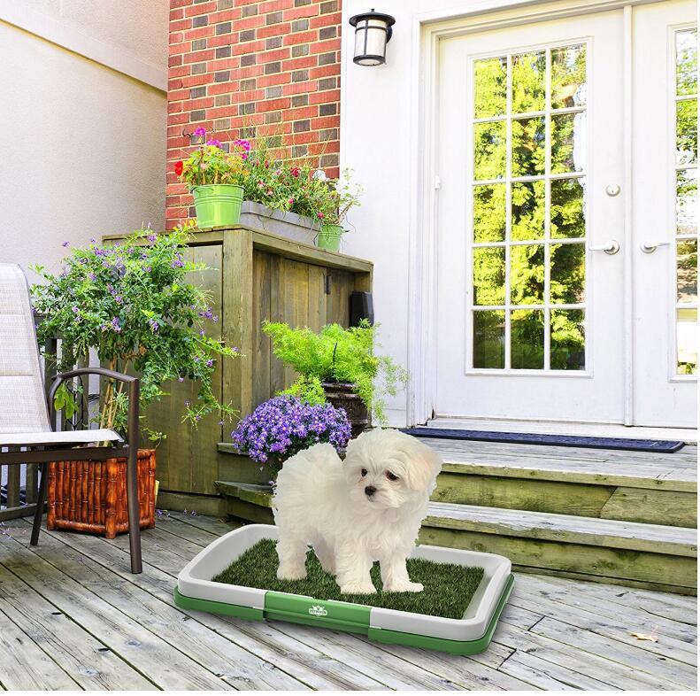 Small white dog standing on flat green artificial grass dog potty tray outside a home