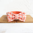 Load image into Gallery viewer, Orange Adventure Matching Collar And Leash Set

