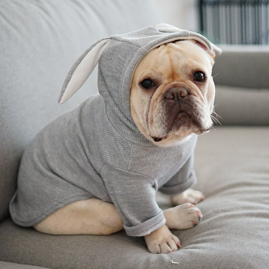 Vêtements pour chiens et animaux de compagnie Vêtements de printemps et d'automne