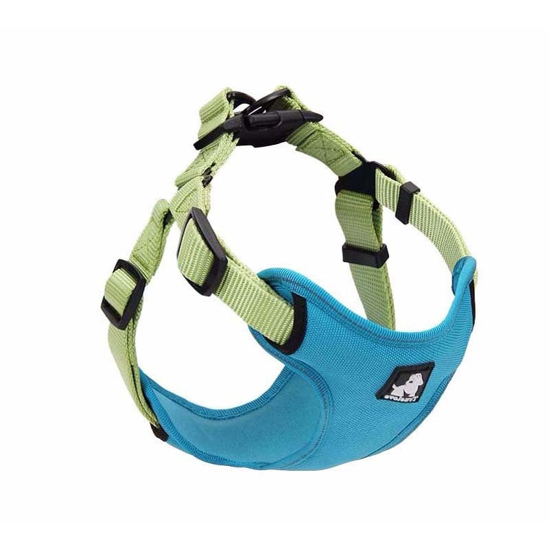 Blue and green adjustable dog harness with padded breathable mesh