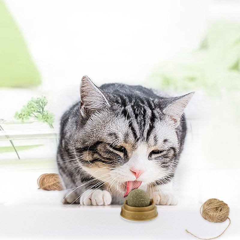 Gray and white cat licking catnip ball mounted on brown plastic base with twine balls in background
