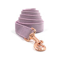 Cargar la imagen en la vista de la galería, Purple velvet pet bow tie accessory on white background
