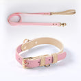 Cargar la imagen en la vista de la galería, Pastel Leather Dog Collar & Leash Set
