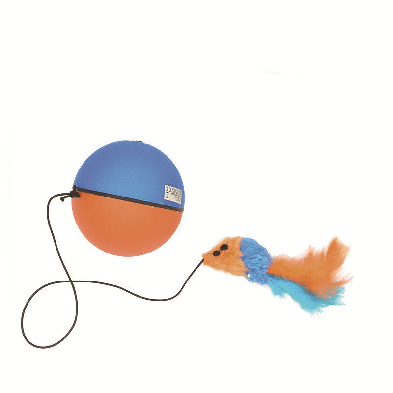 Isolated view of orange and blue spherical ball toy with black cord connected to a feather mouse