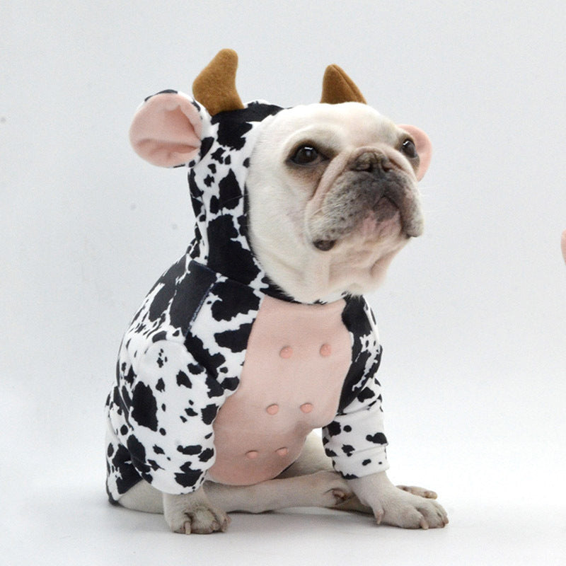French Bulldog posing in the cow costume on white background, highlighting the cute and comfortable design