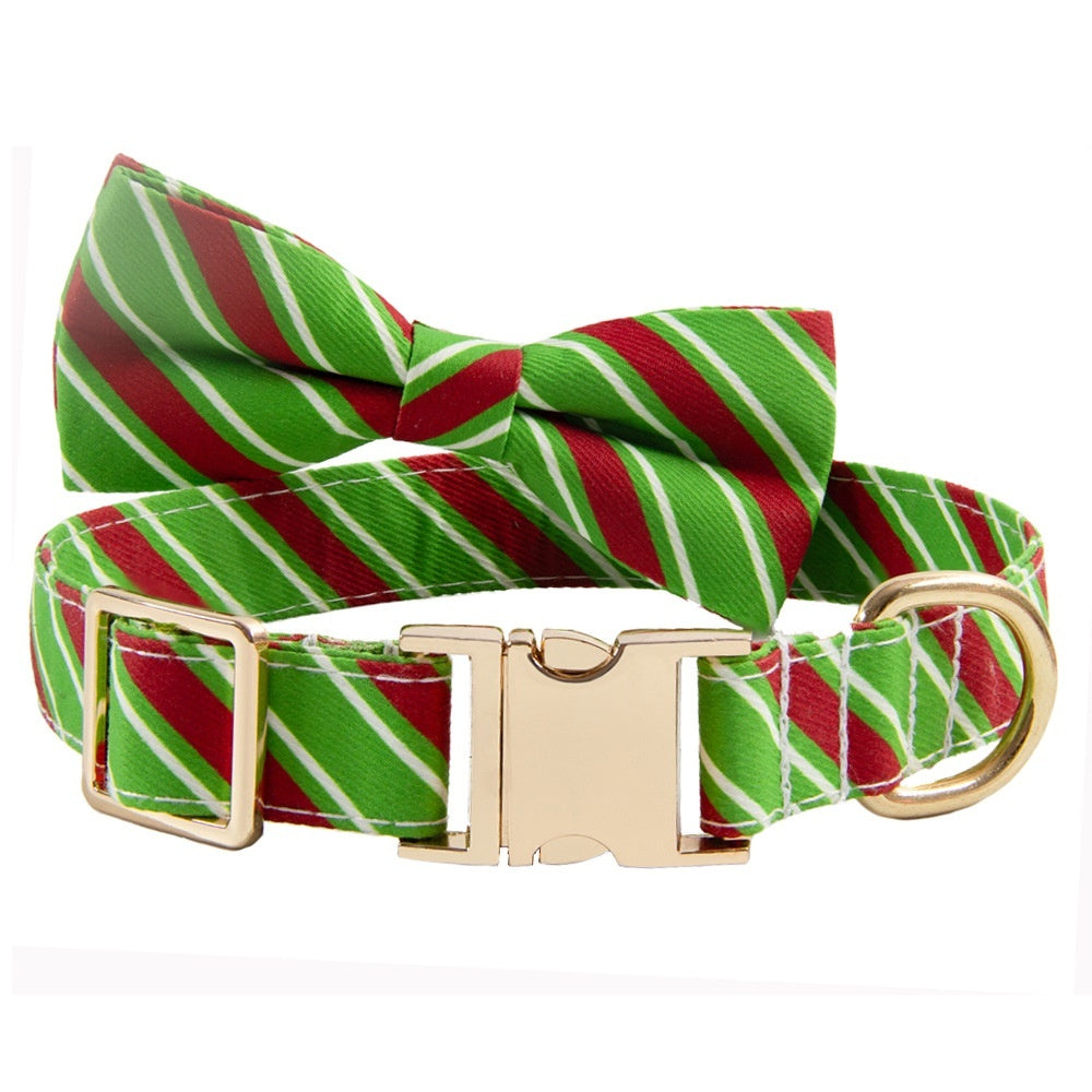 Collier pour chien avec inscription Collier anti-perte