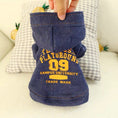 Load image into Gallery viewer, Hand holding the denim dog hoodie showing fabric texture and hood
